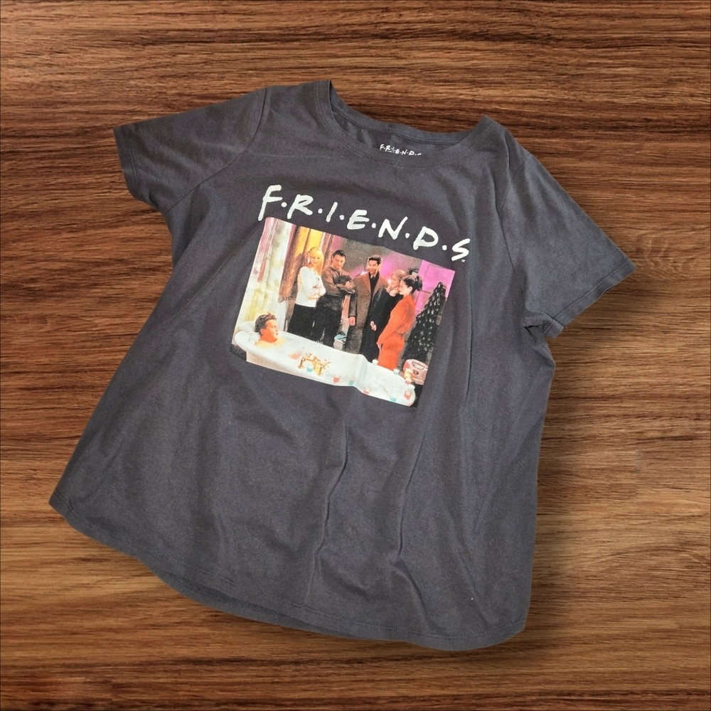 Friends Gray Graphic Bathtub Tee Shirt Plus Size